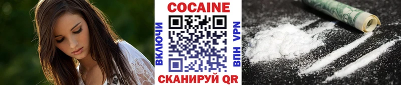 где можно купить наркотик  Калининск  MEGA рабочий сайт  Cocaine Fish Scale 