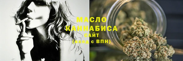 эйфоретик Няндома