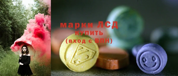 амф Новозыбков