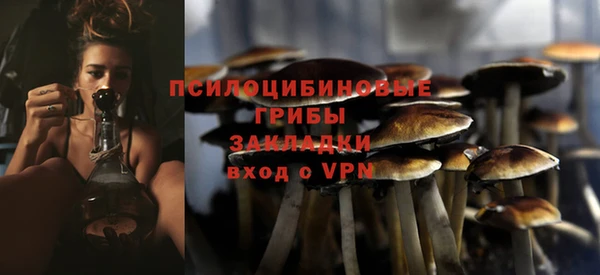 мяу мяу мука Новодвинск