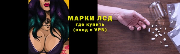 амф Новозыбков