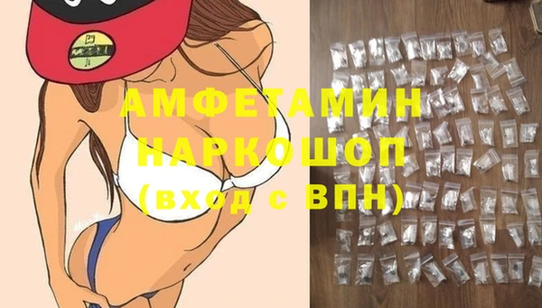 амф Новозыбков