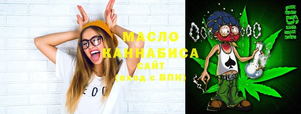 эйфоретик Няндома