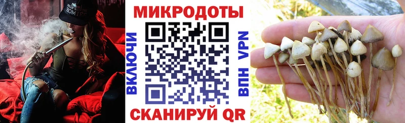 Псилоцибиновые грибы прущие грибы Калининск